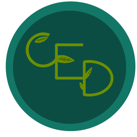 CED Accounting Services Logo